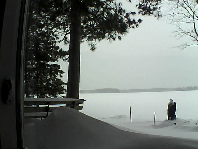 Whiteface Cam Image - Tue, 02/07/2017 1:49pm 