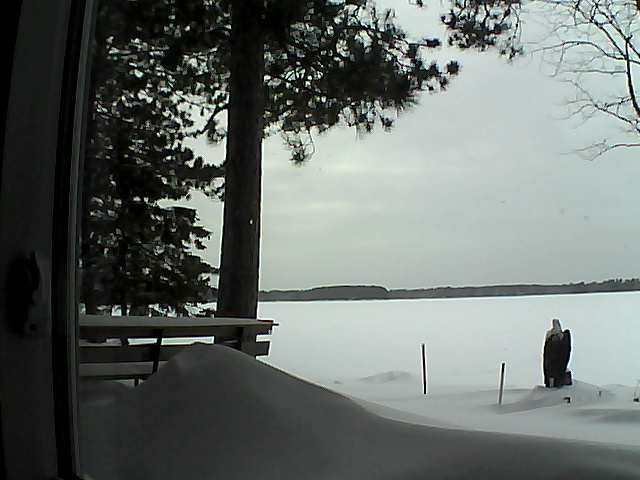 Whiteface Cam Image - Tue, 02/07/2017 3:29pm 