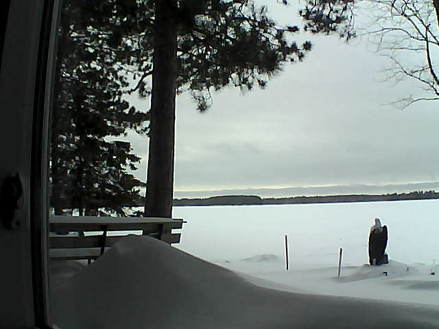 Whiteface Cam Image - Tue, 02/07/2017 4:09pm 