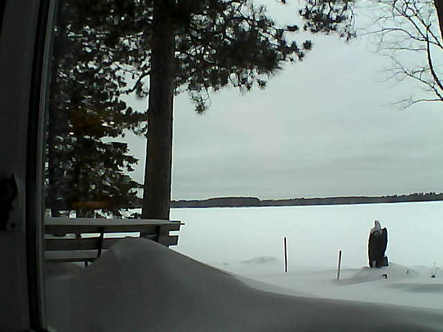 Whiteface Cam Image - Tue, 02/07/2017 5:19pm 