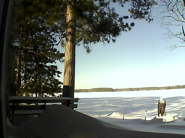 Whiteface Cam Image - Wed, 02/08/2017 10:02am 