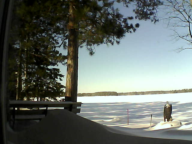 Whiteface Cam Image - Wed, 02/08/2017 10:42am 