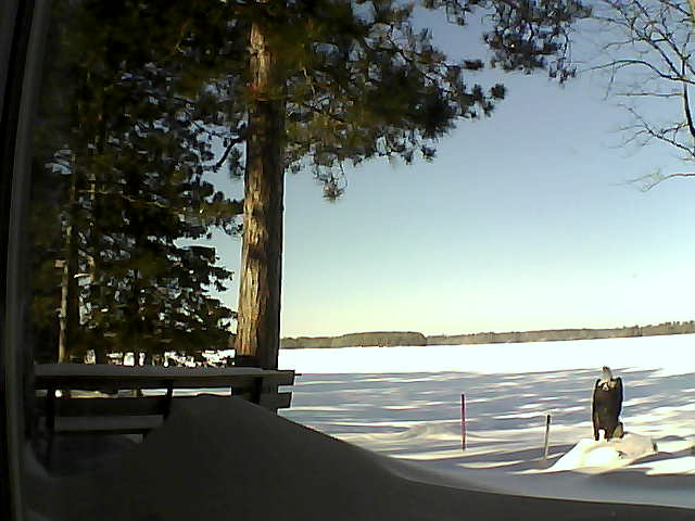 Whiteface Cam Image - Wed, 02/08/2017 10:52am 