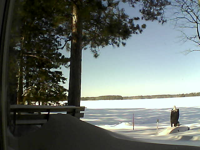 Whiteface Cam Image - Wed, 02/08/2017 11:42am 