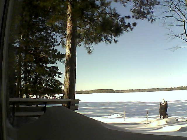 Whiteface Cam Image - Wed, 02/08/2017 12:02pm 