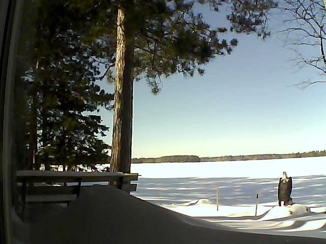 Whiteface Cam Image - Wed, 02/08/2017 12:12pm 