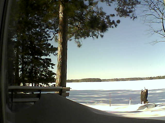 Whiteface Cam Image - Wed, 02/08/2017 12:32pm 