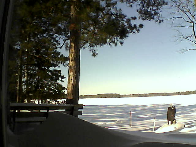 Whiteface Cam Image - Thu, 02/09/2017 10:40am 