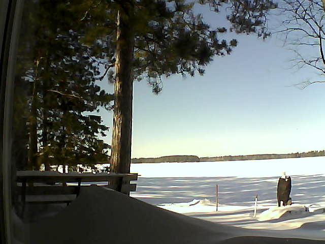 Whiteface Cam Image - Thu, 02/09/2017 11:50am 