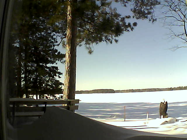 Whiteface Cam Image - Thu, 02/09/2017 12:40pm 