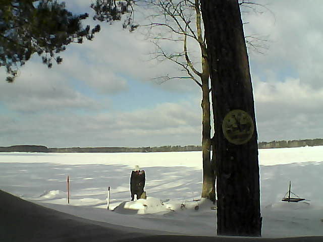 Whiteface Cam Image - Sun, 02/12/2017 10:04am 