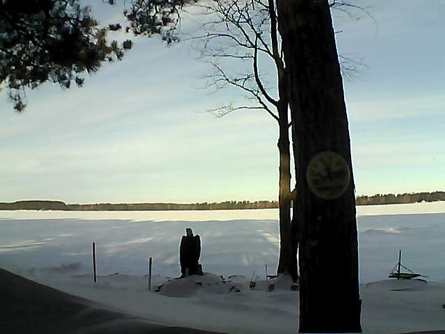 Whiteface Cam Image - Mon, 02/13/2017 8:33am 