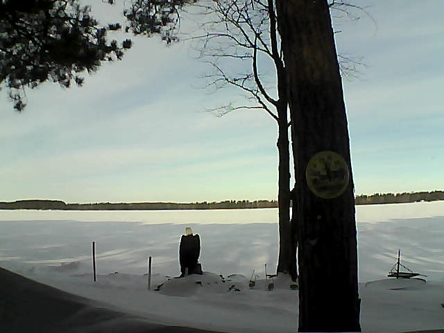 Whiteface Cam Image - Mon, 02/13/2017 9:03am 