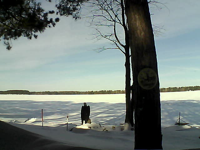 Whiteface Cam Image - Mon, 02/13/2017 9:43am 