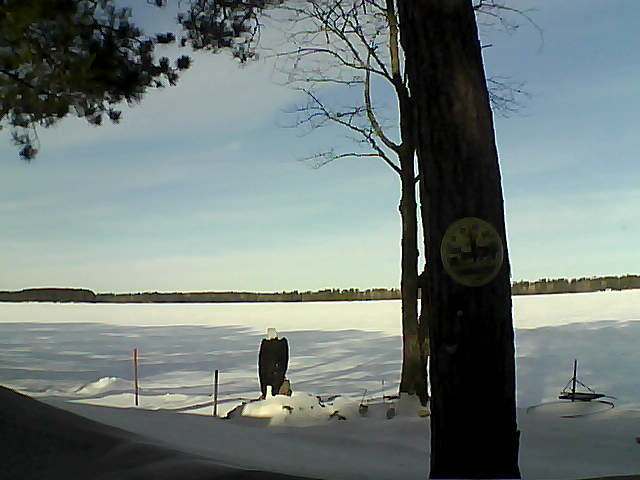 Whiteface Cam Image - Mon, 02/13/2017 10:03am 
