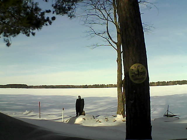 Whiteface Cam Image - Mon, 02/13/2017 10:13am 
