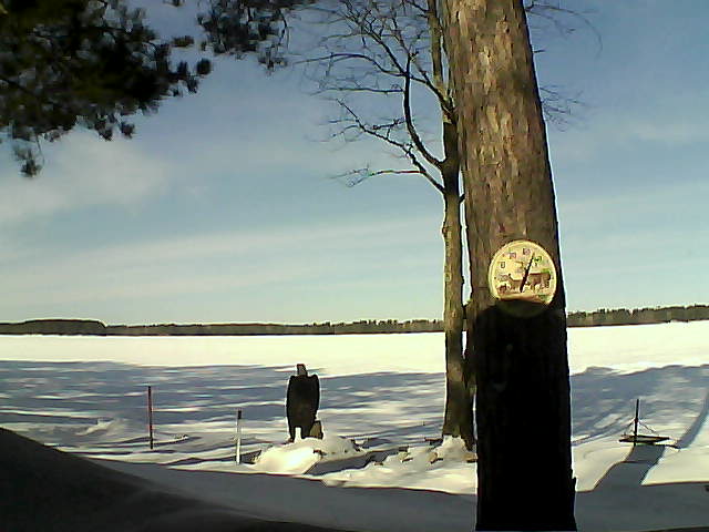 Whiteface Cam Image - Mon, 02/13/2017 10:43am 
