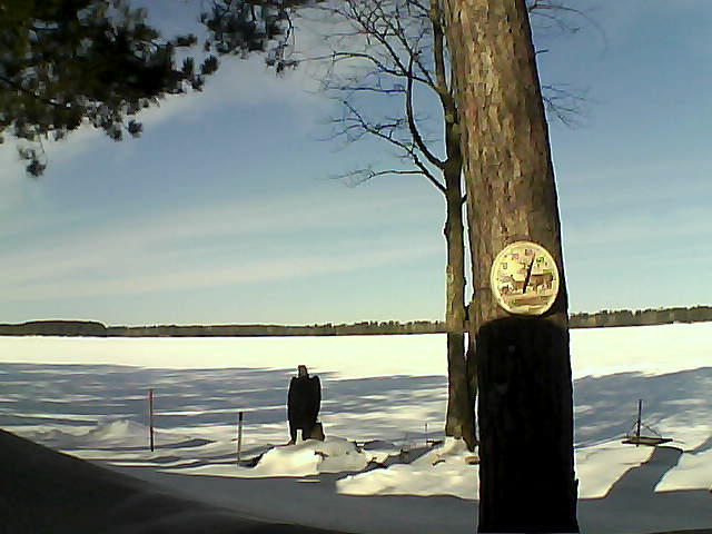 Whiteface Cam Image - Mon, 02/13/2017 10:53am 