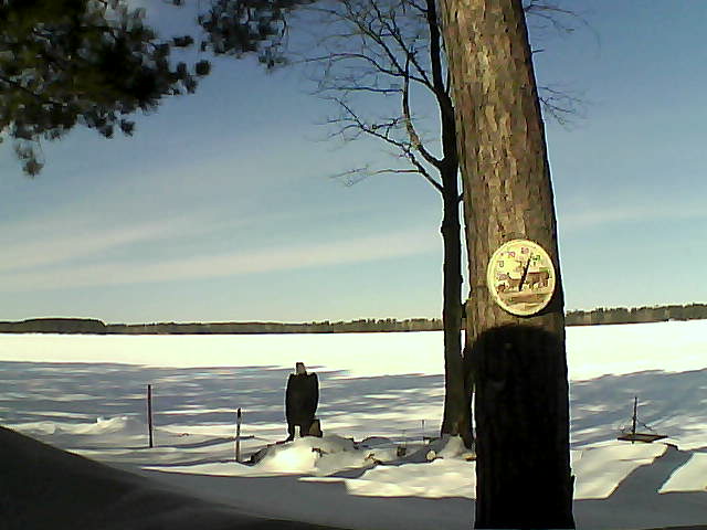 Whiteface Cam Image - Mon, 02/13/2017 11:03am 