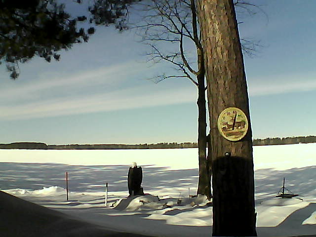 Whiteface Cam Image - Mon, 02/13/2017 11:23am 