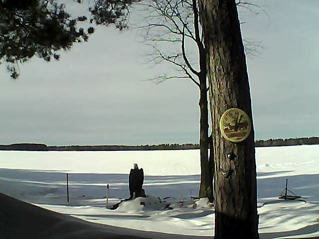 Whiteface Cam Image - Mon, 02/13/2017 1:33pm 