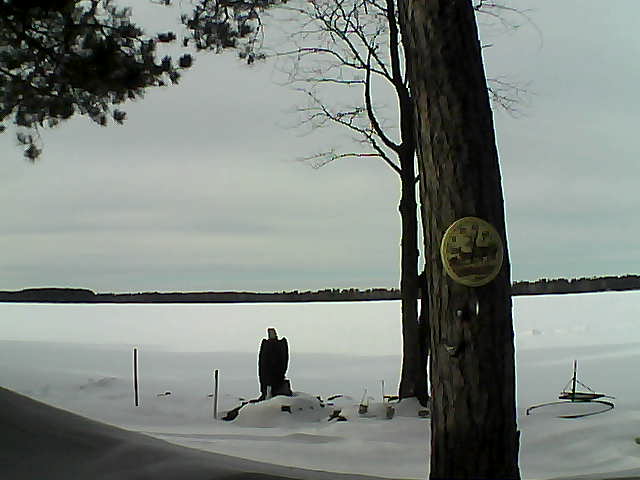 Whiteface Cam Image - Mon, 02/13/2017 1:53pm 