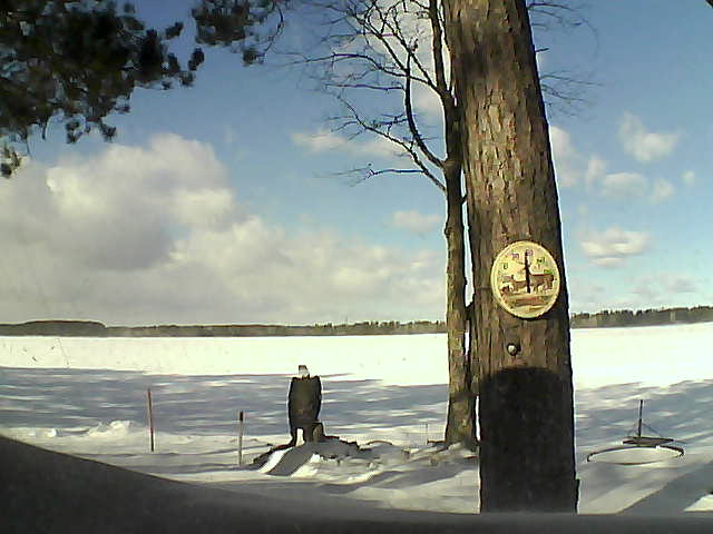 Whiteface Cam Image - Tue, 02/14/2017 11:32am 