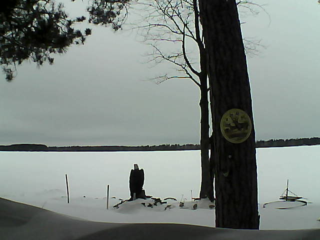 Whiteface Cam Image - Wed, 02/15/2017 10:52am 