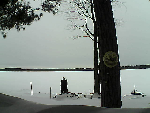 Whiteface Cam Image - Wed, 02/15/2017 11:32am 