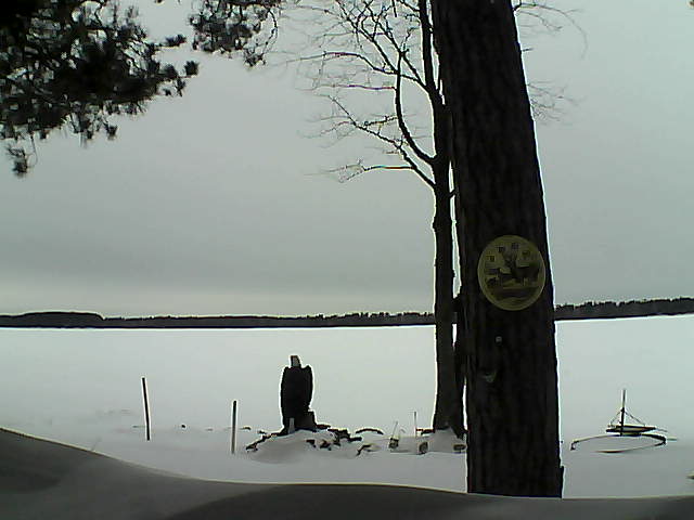 Whiteface Cam Image - Wed, 02/15/2017 11:52am 