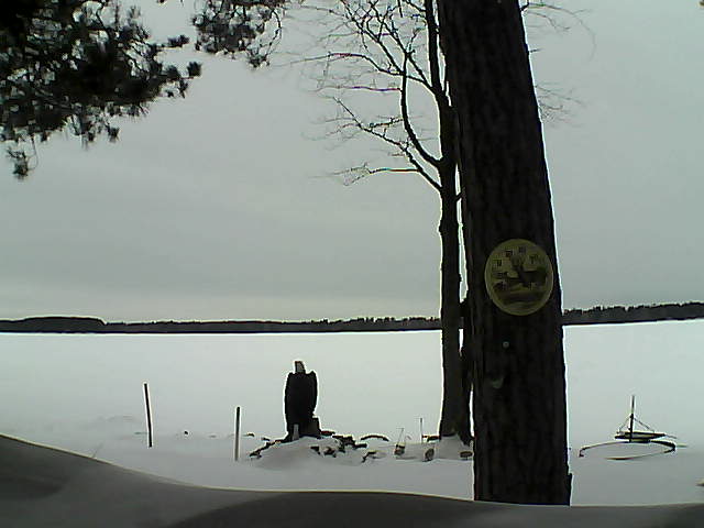 Whiteface Cam Image - Wed, 02/15/2017 12:02pm 