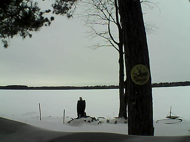 Whiteface Cam Image - Wed, 02/15/2017 1:41pm 