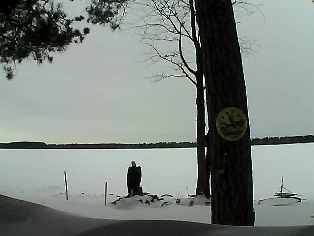 Whiteface Cam Image - Wed, 02/15/2017 1:51pm 