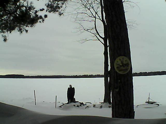 Whiteface Cam Image - Wed, 02/15/2017 2:11pm 