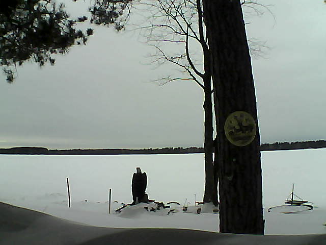 Whiteface Cam Image - Wed, 02/15/2017 2:31pm 