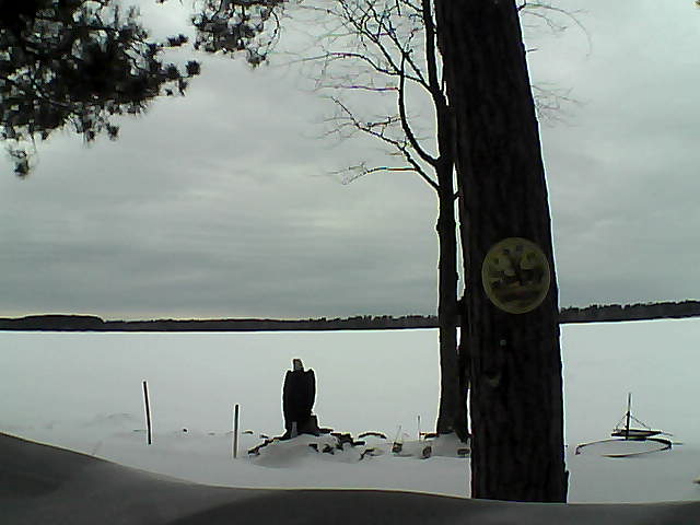 Whiteface Cam Image - Wed, 02/15/2017 2:51pm 