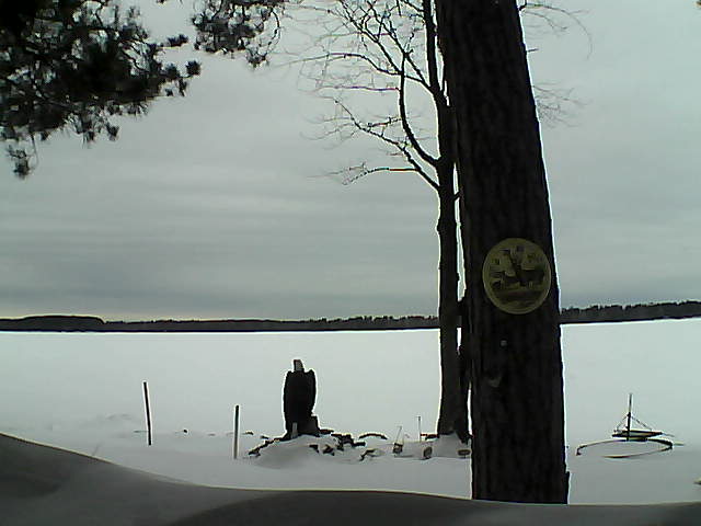 Whiteface Cam Image - Wed, 02/15/2017 3:11pm 