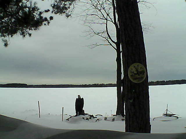 Whiteface Cam Image - Wed, 02/15/2017 3:51pm 