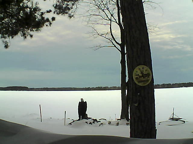 Whiteface Cam Image - Thu, 02/16/2017 7:31am 