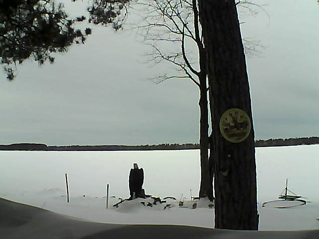 Whiteface Cam Image - Thu, 02/16/2017 8:01am 