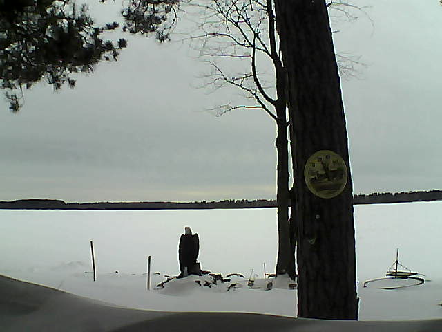 Whiteface Cam Image - Thu, 02/16/2017 8:41am 