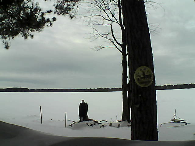 Whiteface Cam Image - Thu, 02/16/2017 9:50am 