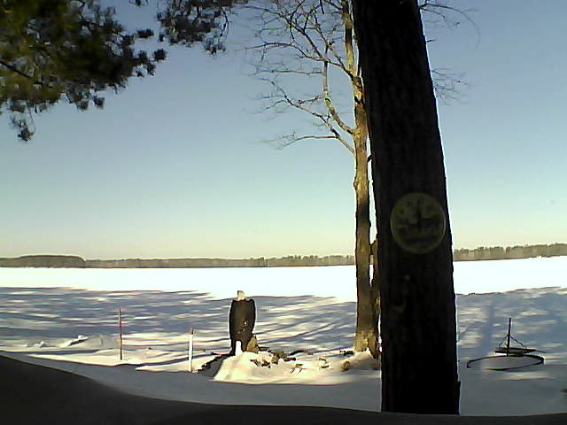 Whiteface Cam Image - Fri, 02/17/2017 10:10am 