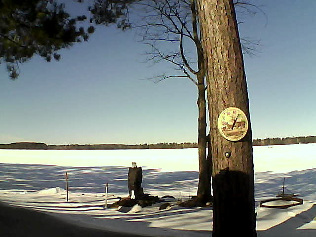 Whiteface Cam Image - Sat, 02/18/2017 11:29am 