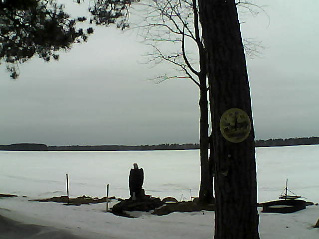 Whiteface Cam Image - Mon, 02/20/2017 8:17am 