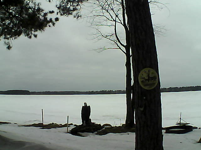 Whiteface Cam Image - Mon, 02/20/2017 8:37am 