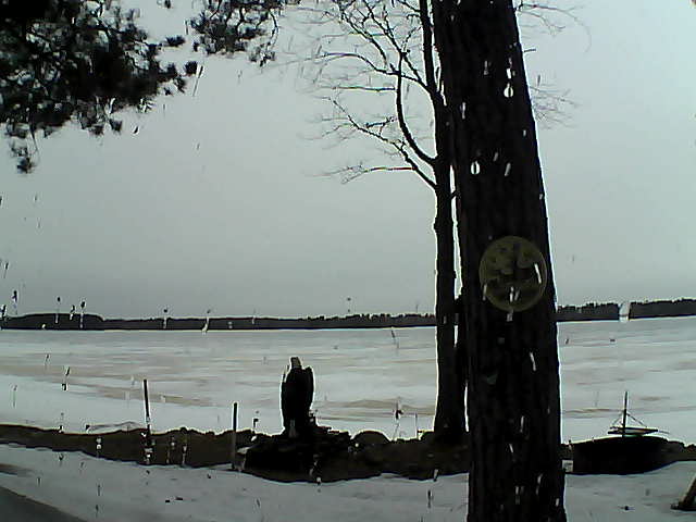 Whiteface Cam Image - Wed, 02/22/2017 3:35pm 