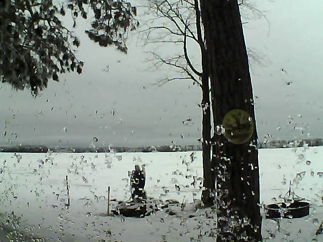 Whiteface Cam Image - Thu, 02/23/2017 6:45am 