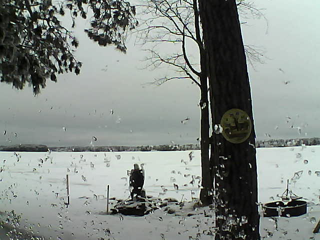 Whiteface Cam Image - Thu, 02/23/2017 7:45am 