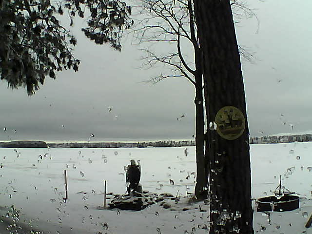 Whiteface Cam Image - Thu, 02/23/2017 8:25am 